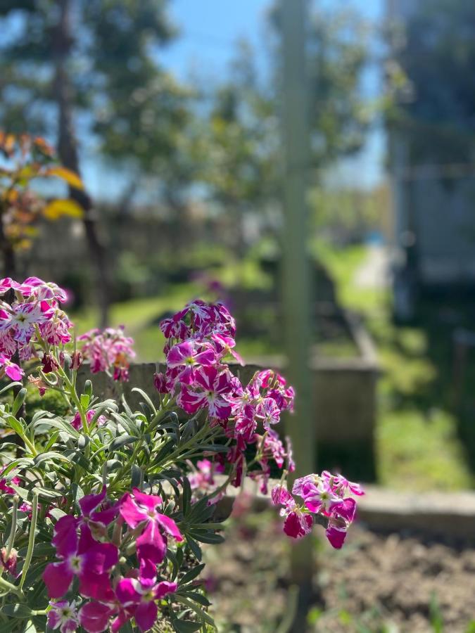Villa Osmani Dıraç Dış mekan fotoğraf