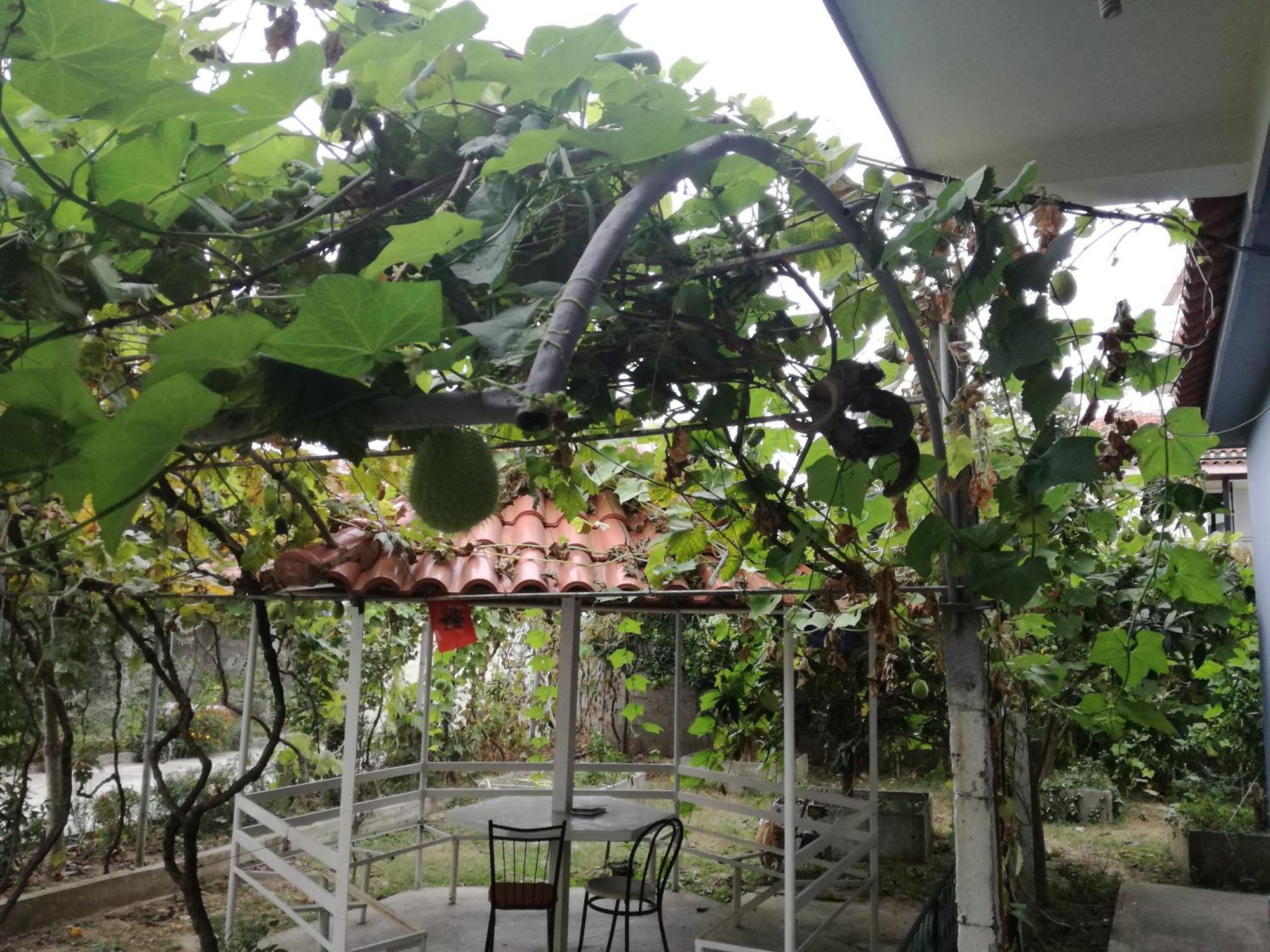 Villa Osmani Dıraç Dış mekan fotoğraf